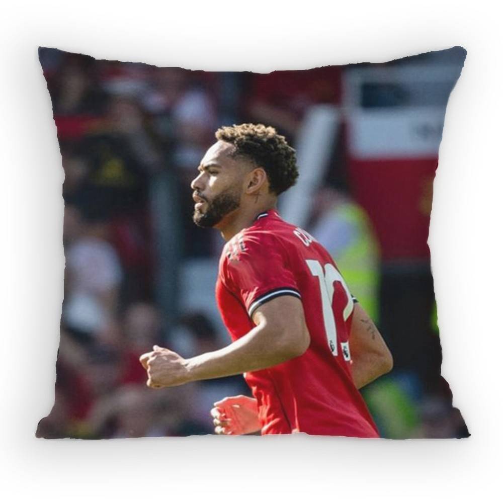 Matheus Cunha Pillow Case Antidustmite Pillowcase Invisible zipper silky Sofa cushion cover for bedroom