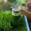 Органическая трава ячменя 250 г Натуральный щелочной суперпродукт BarleyGrass