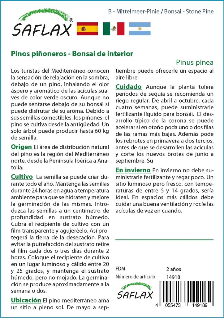 SAFLAX Garden in the Bag - Бонсай - Кедровая сосна - 6 семян - С субстратом в подходящем мешке-стойке - Pinus pinea