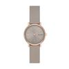 Skagen Signatur Lille SKW3060 Women's Watch, Gray
