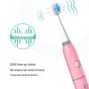 QBM Dry Battery Sonic Electric Toothbrush for Adults & Kids CN plug (adapter included)