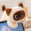 20/40 см Плюшевая игрушка Кошка с большими глазами Плюшевая кукла котенок Питомец Высокое качество Изысканная кошка Мягкая удобная подушка Подарок на день рождения