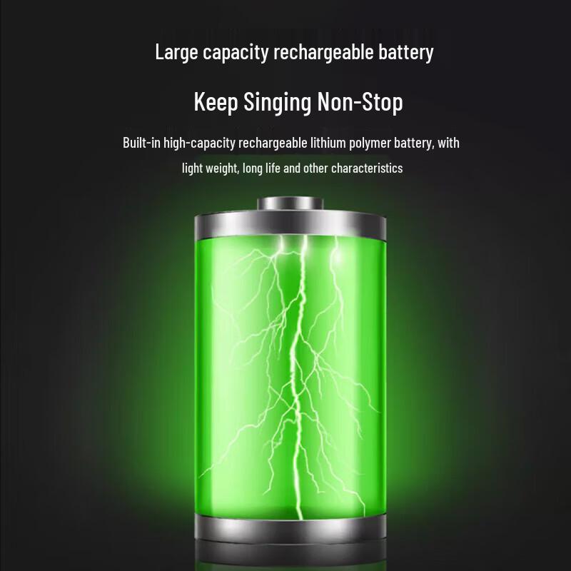 HuiDu NB-500L Professional Portable Live Performance & Recording Speaker with Dual Mics