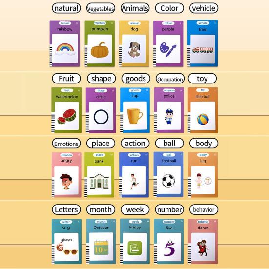 Learning Machine Interactive Flash Cards LCD Writing Tablet 255 Double-Sided Cards with Real Animal Vehicle Sounds Interactive Learning Toys