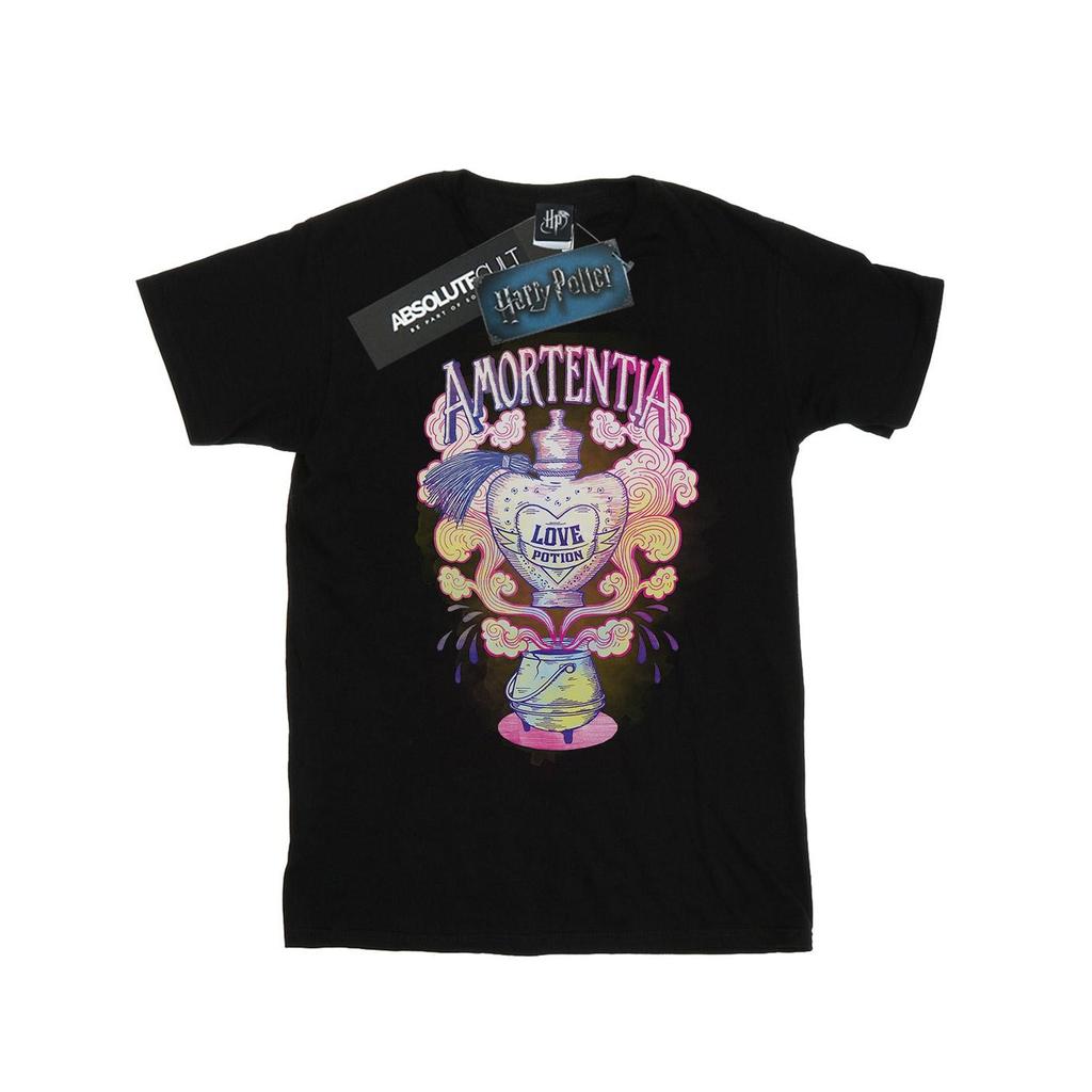 Harry Potter Womens/Ladies Love Potion Cotton Boyfriend T-Shirt