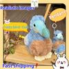 New Dodo Bird Stuffed Animal Toy Adorable Bird Bags Pendants Keychains Children's Accompanying Dolls Graduation Season Gifts