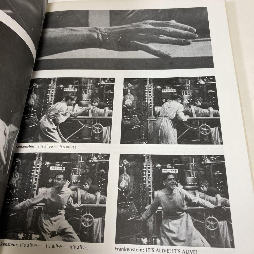 [USED] Frankenstein by James Whale