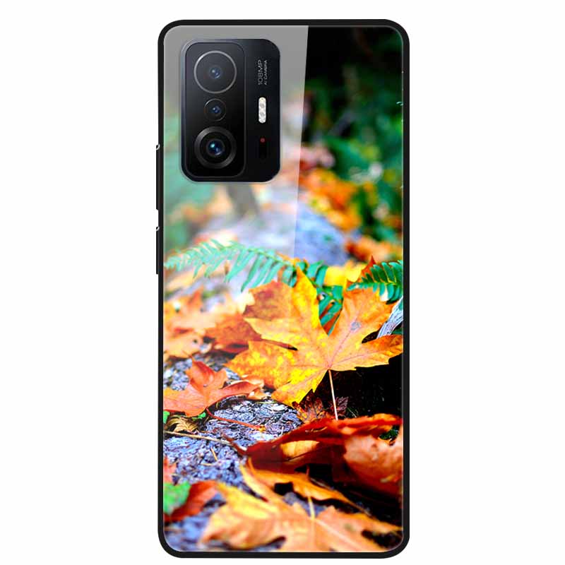 Чехол Для Xiaomi 11T Pro Стекло Жесткий Закаленное Стекло ПК Чехол Для Телефона Для Xiaomi Mi 11T 11 T Pro Ударопрочный Пейзаж Милый Capa Coque