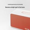 Xiaodu AI Smart Speaker CN plug (adapter included)