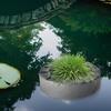 18 см/27 см Тканевый плавающий горшок для пруда Контейнер для водных цветов Плавучий остров-сад Горшок для пруда на открытом воздухе Водные растения