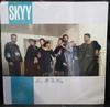 12inch Record SKYY - Love All The Way 086399 Atlantic 1989 US Soul/Funk Used