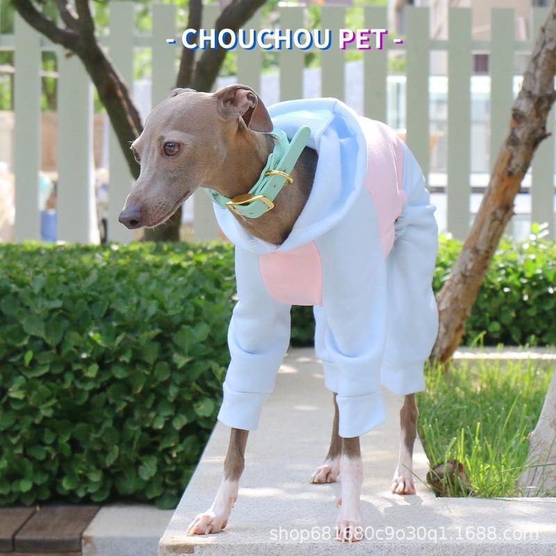 Pet Hooded Fleece Jacket Italian Greyhound Whippet Four-Legged Warm Winter Coat Blue Pink Colorblock