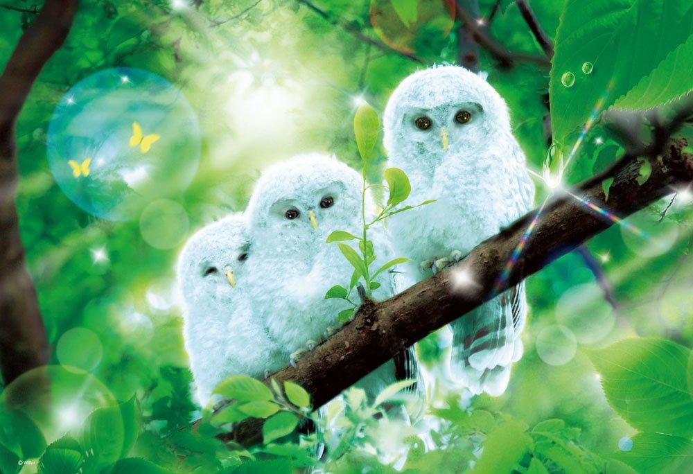 1000-Piece Jigsaw Puzzle Fantasy Art Wilfer Happy White Owl Micro Pieces (26x38cm)