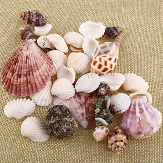 100 г смешанные морские ракушки, ракушки, ракушки для домашнего аквариума, морской декор