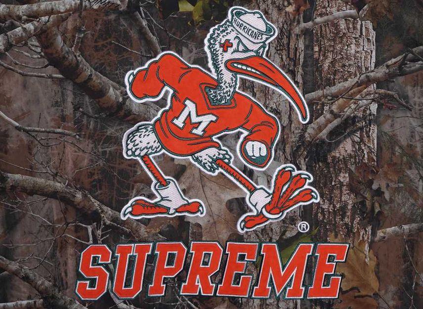 Supreme Толстовка с капюшоном Mitchell & Ness NCAA Stadium Jacket Leaves