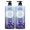 Daily Moisture Perfume Body Wash Lavender Fragrance, 1.1L, 2 Units