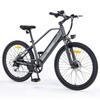 HillMiles MileTrail 1 Электровелосипед: Запас хода 120 км (PAS), Гидравлические тормоза, 26-дюймовые колеса, 250-ваттный мотор - Для города и горного туризма