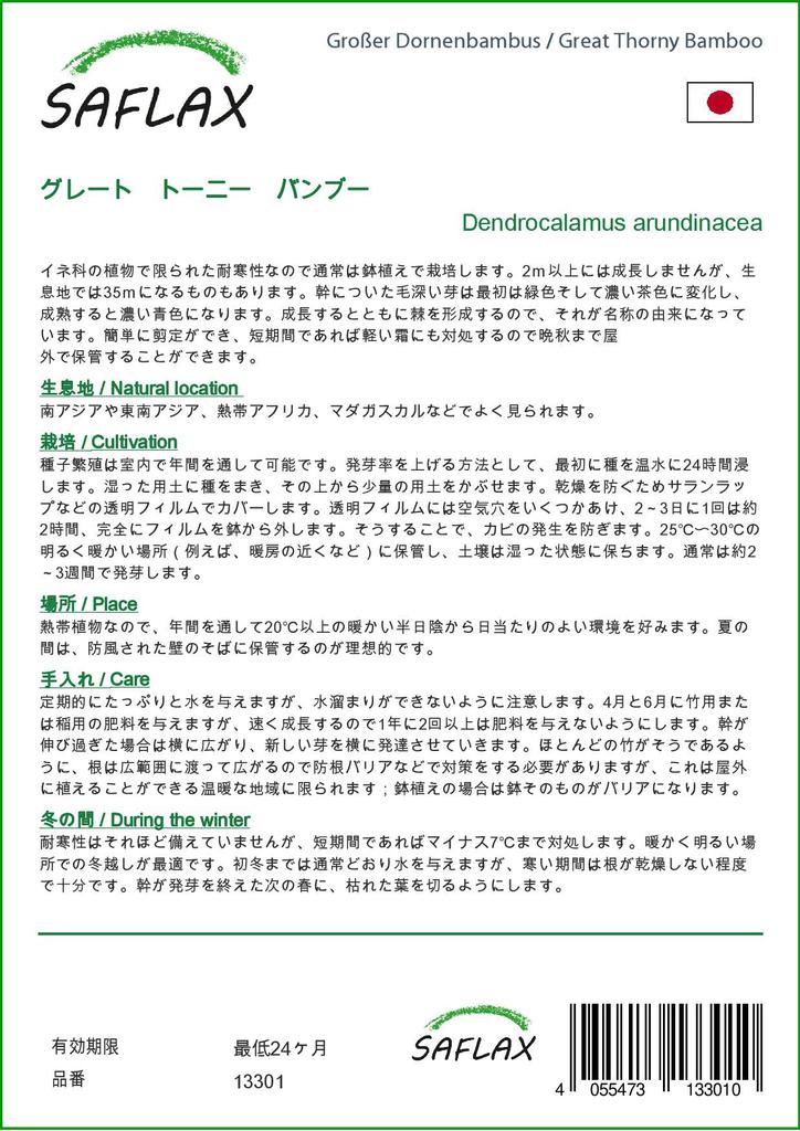 SAFLAX Бамбук большой колючий - 50 семян - Dendrocalamus arundinacea