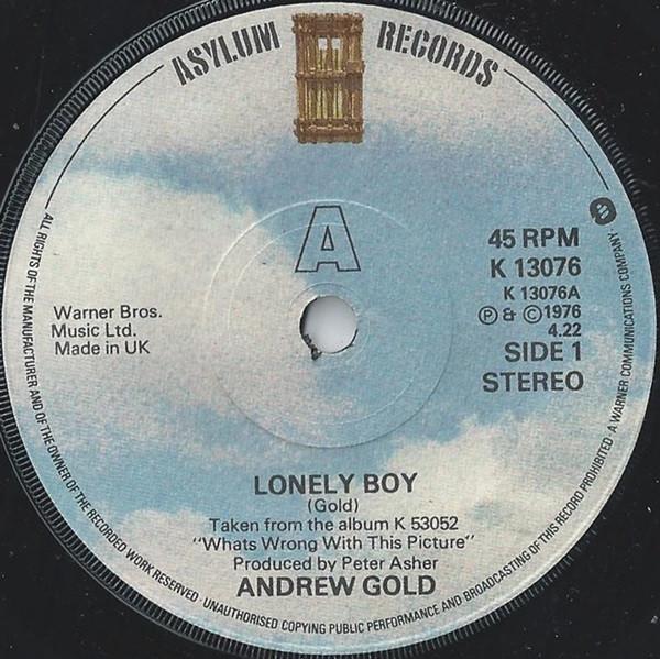 7-дюймовая пластинка ANDREW GOLD Lonely Boy K13076 Asylum Records 1976 UK Rock Б/у