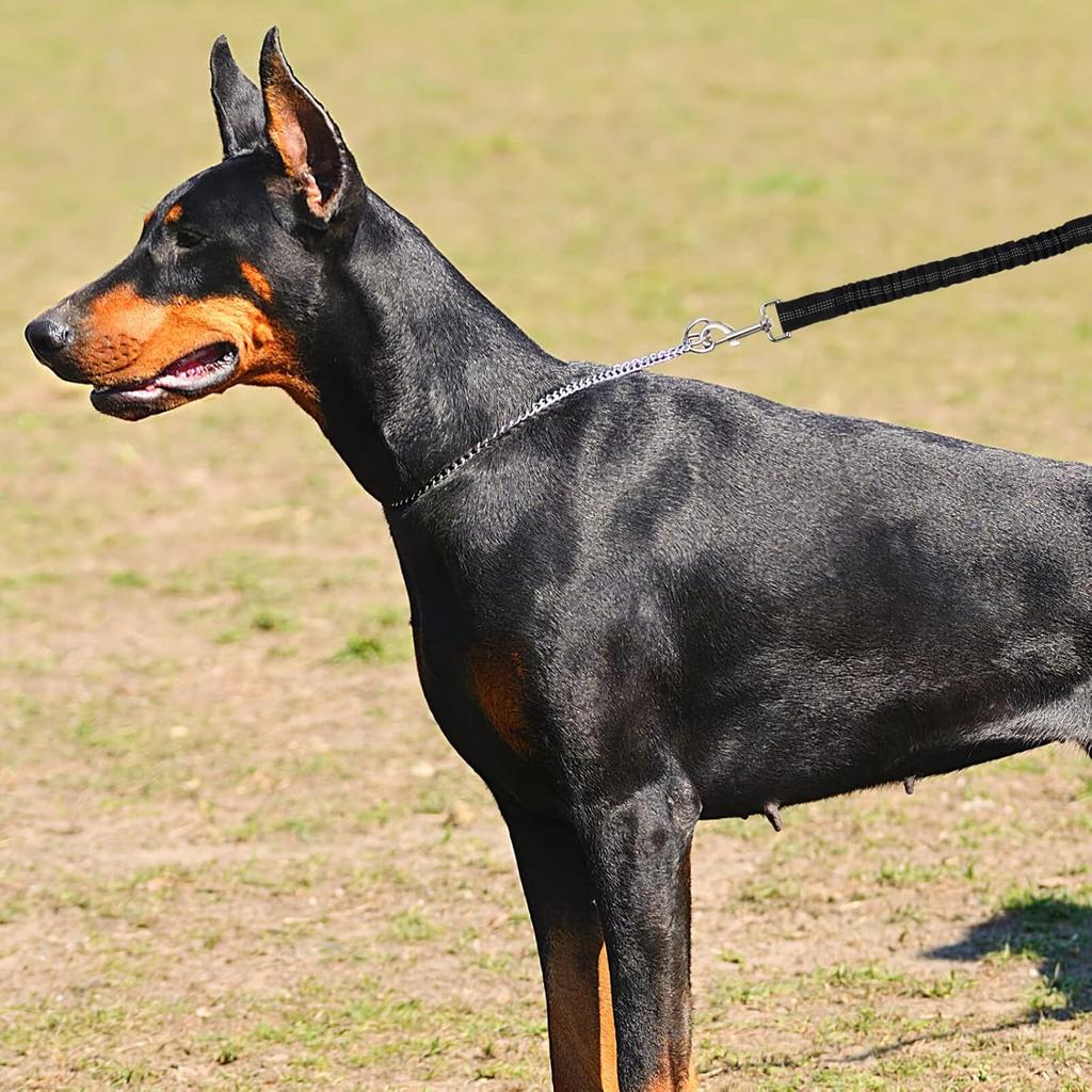 Светоотражающий поводок-удлинитель для собак Totority Прочный эластичный тренировочный поводок для маленьких и средних собак для прогулок, бега и активного отдыха Черный