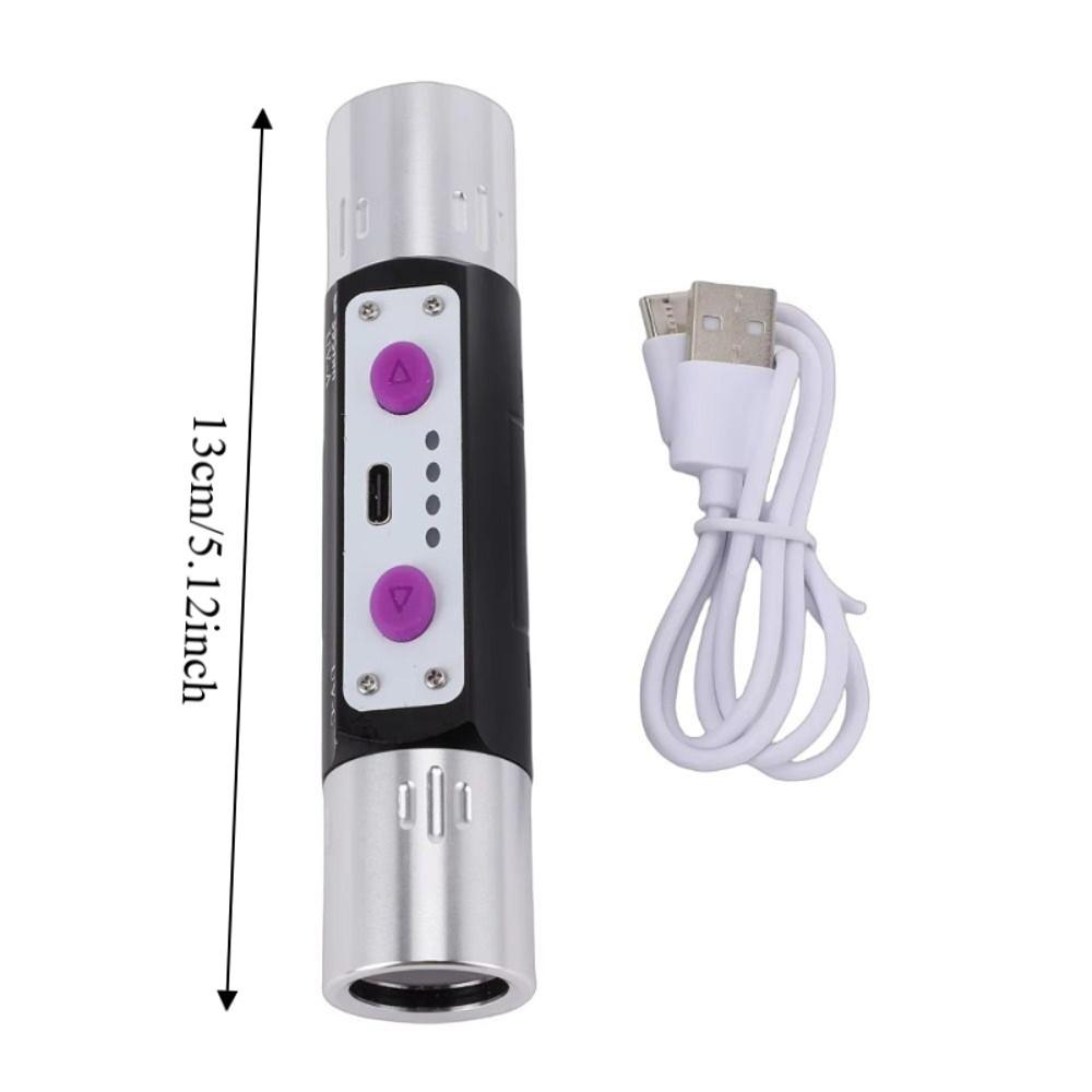 Shortwave UV Flashlight 254nm UV Flashlight Lamps UVA Blacklight LED Flashlight Minerals Detector