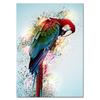 Colorful Beautiful Parrot Bird Graffiti Art Canvas Painting Wall Picture Animals Posters and Prints Living Room Home Decoration No Frame