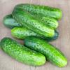 Cucumber Śremski F1 100g Vegetables for the Garden