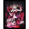 Harley Quinn Framed Poster