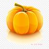 Citrouille Halloween Pumpkin Iron On Heat Transfer Printing Vinyl Patches Sticker for Clothes DIY Appliques Washable Patches