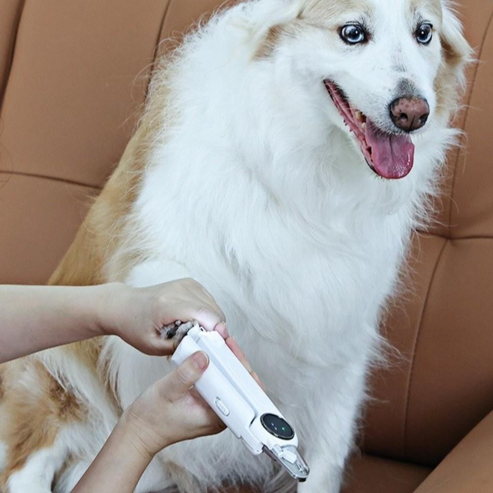 USB Rechargeable Cat Nail Grinder Quiet Operation Pet Nail Clippers  Pet Paw Care