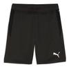 Puma Shorts Individual Training