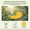 Parrot Perch Branch Natural-Wood Texture Anti-Shedding Bird Cage Accessory for Small Birds