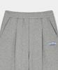 DOLPHIN WAVE APPAREL Брюки с одним защипом и силиконовым принтом-дельфином, меланжево-серые