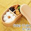 Lunch Box 1 Tier 450ml Children Free Shipping Natural Wood Carved Broad Bean White Kids Boys Girls Small Male Female