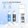 Waterdrop W281 Фильтры для воды для кулеров, Замена для кулеров Avalon® без бутылей, Увеличенный срок службы 1500 галлонов,