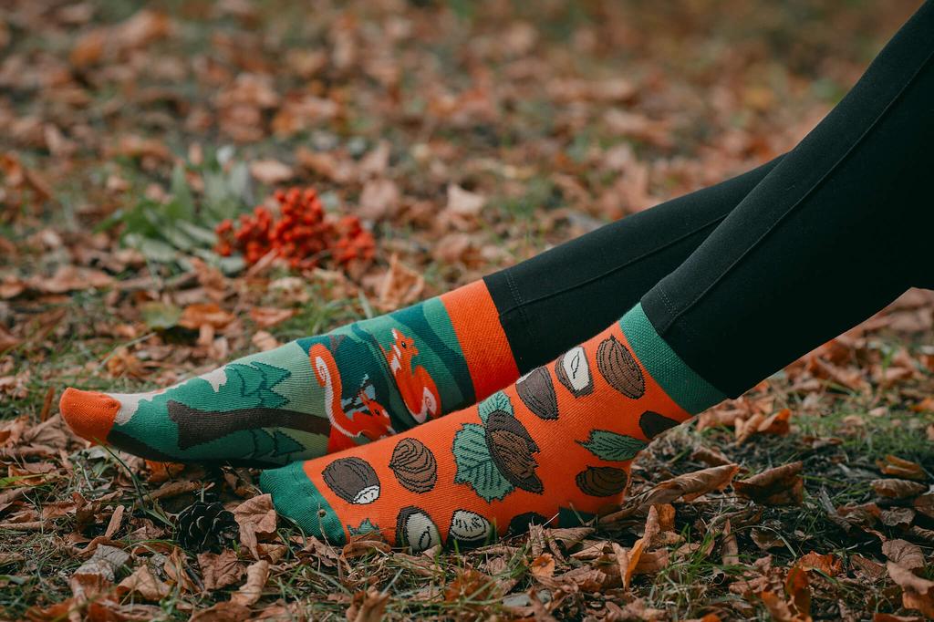 Squirrels - Colorful Socks 40-43