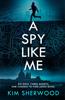 The A Spy Like Me Book