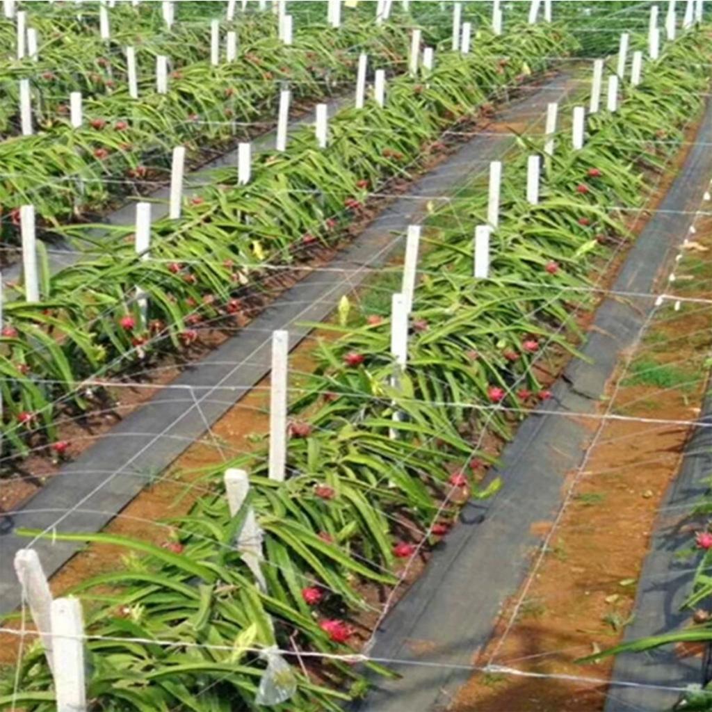 Ing Ткань Ткань для покрытия соломы Садовая ткань для покрытия соломы Барьер