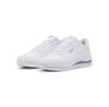 Кроссовки Puma 399068-21