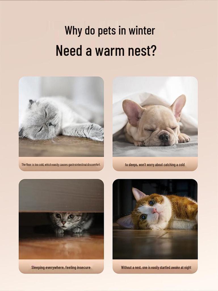 Трансграничная кошачья вилла: Уютное осенне-зимнее гнездышко для котят и собак