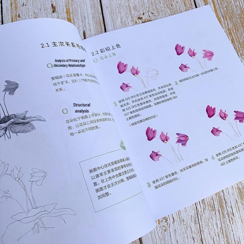 Huike Colored Pencil Art Book: 24 Solar Terms Flowers