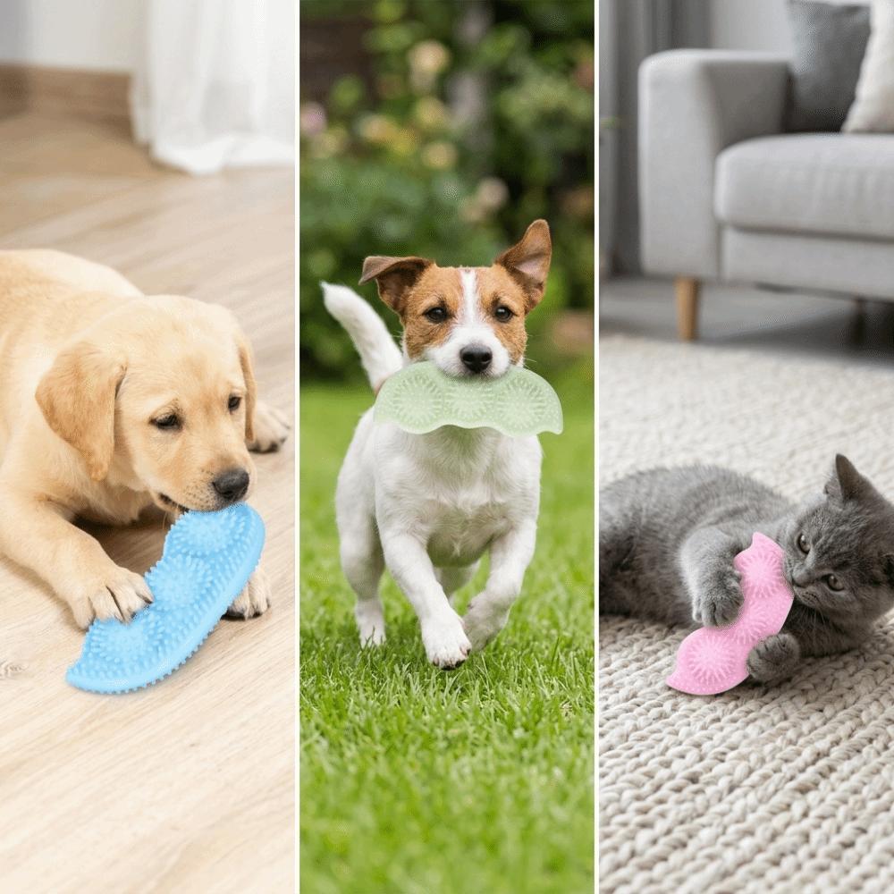 TPR Material Pea Dog Chew Toy Pea Shaped Bite Tough Teeth Cleaning Toy Flexible Texture Safe Interactive Dog Toy