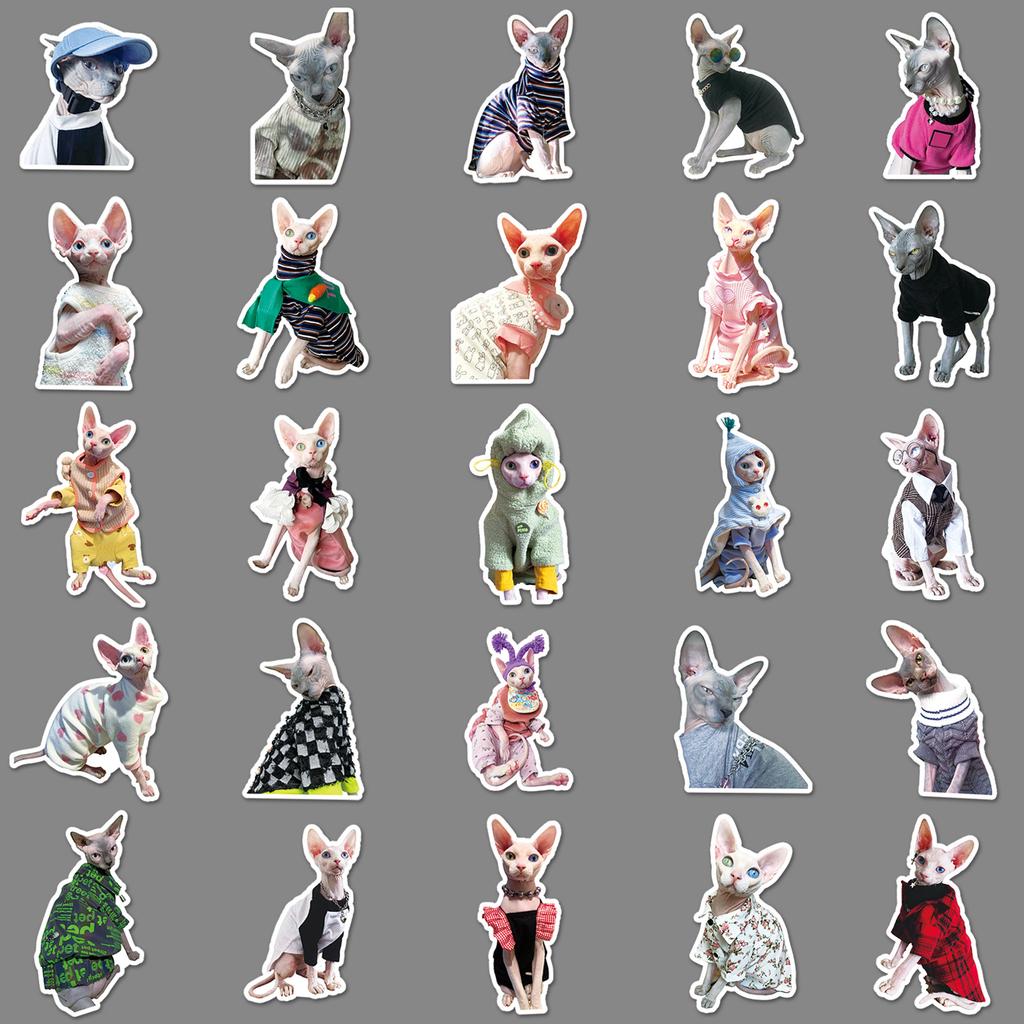 50 Дудл бесшерстной кошки Сфинкс Инс Фэнгука DIY Мобильный чехол Наклейки для чашки для воды Чемодана