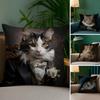 Renaissance Royal Cat Funny Pillow Case Anti-dustmite Invisible Zipper Sofa Bed