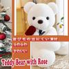 Homehalo Teddy Bear Stuffed Animal Soft Hugging Pillow White 35cm