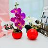 Phalaenopsis Artificial Decor With Highquality Materials For Gift And Use Event