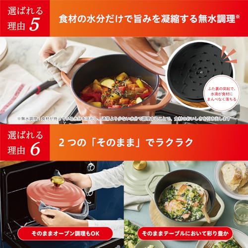 Чугунный горшок Tefal Cocotte 20 см, с двумя ручками, для приготовления без воды, легкий и простой в использовании, несмотря на то, что это чугун, совместим с индукционными и газовыми плитами, без H