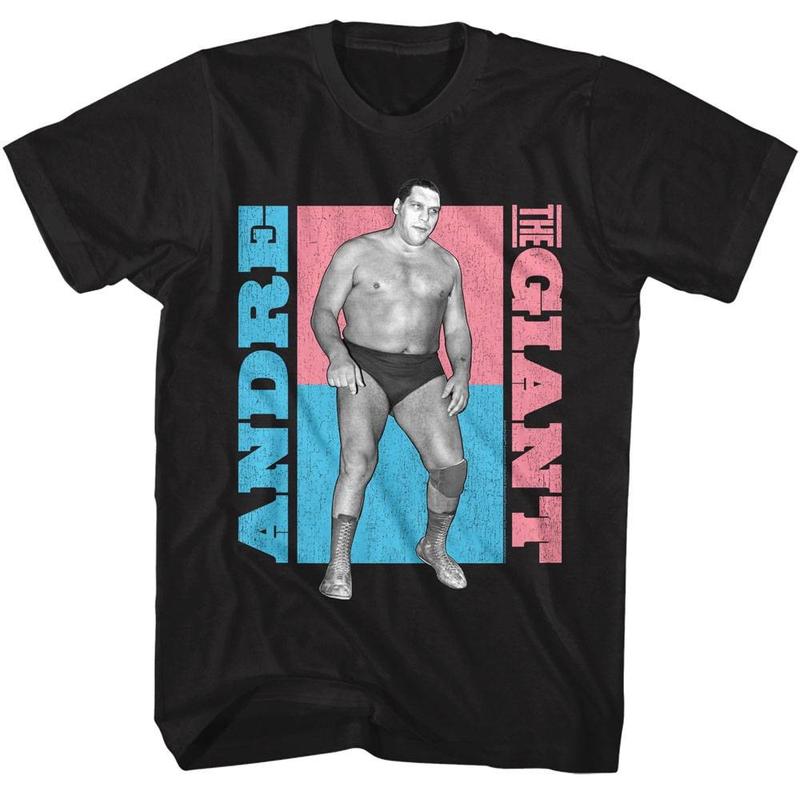 Andre The Giant Pastel Colorblock Unisex T-Shirt Graphic Tee