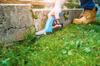 IDEAL grass shears