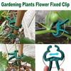 20/50pcs Plant Fixed Clips Reusable Garden Greenhouse Bracket for Fixed Plants Vine Flower Seedling Tomatoes Support Garden Tool